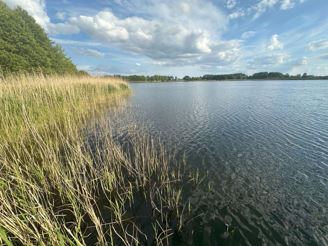 Działka budowlana Brzuze. Zdjęcie 6