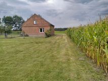 dom wolnostojący Wycinki. Zdjęcie 4