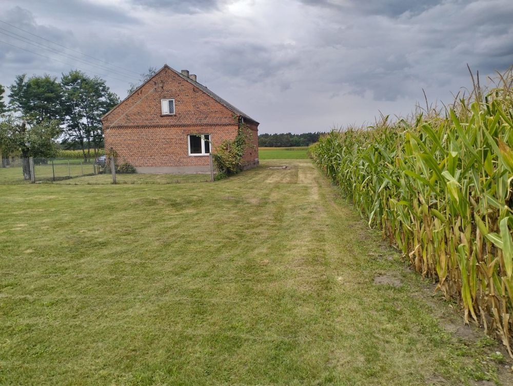 dom wolnostojący Wycinki. Zdjęcie 5