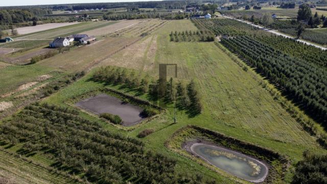 Działka rolna Boglewice. Zdjęcie 3