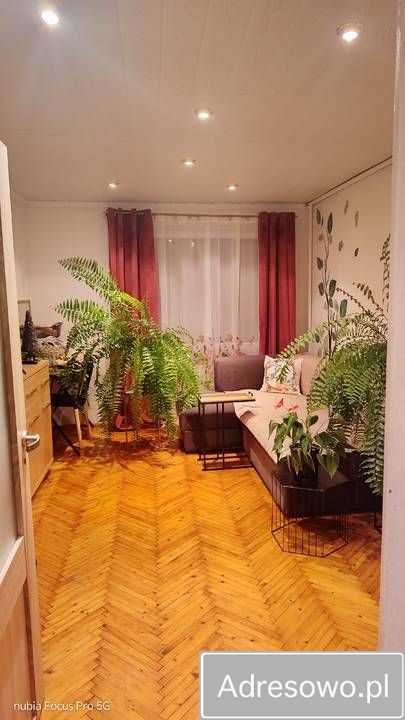 dom wolnostojący, 5 pokoi Jełowa Jeżów-Ług, ul. Leśna. Zdjęcie 5