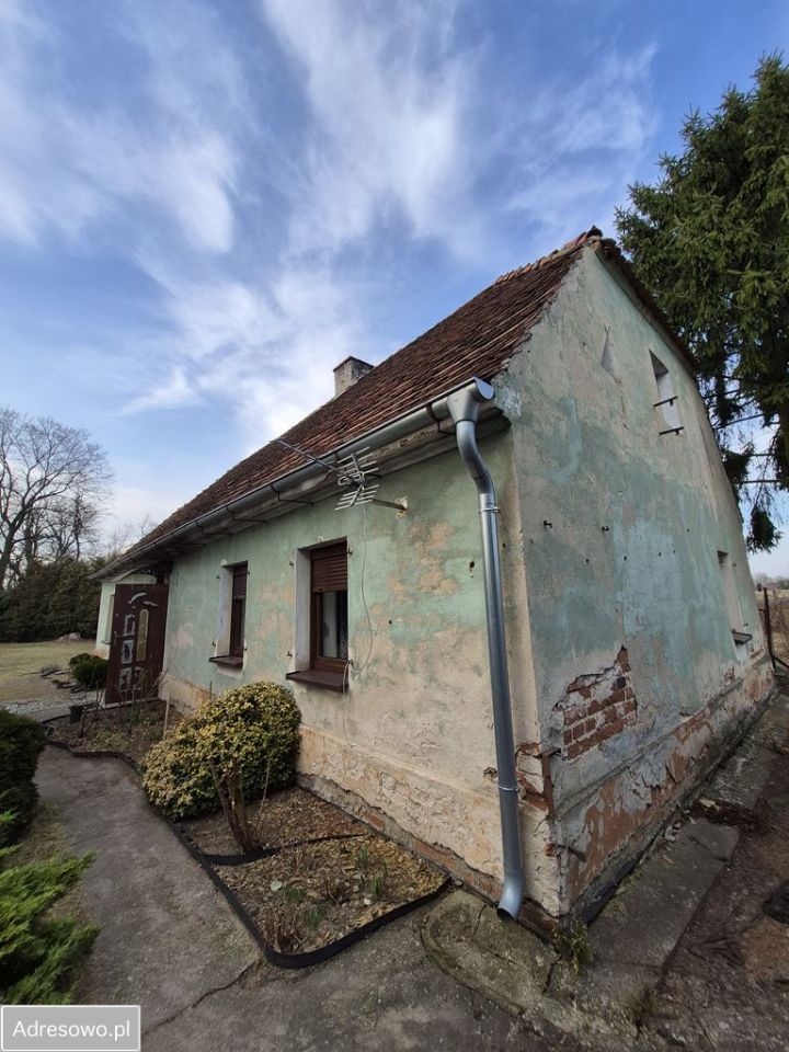 dom wolnostojący, 3 pokoje Nowa Sól, ul. Wodna. Zdjęcie 3