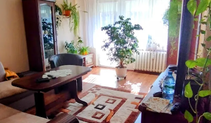 Mieszkanie 2-pokojowe Olsztyn Jaroty, ul. Jana Boenigka