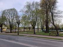 Działka inwestycyjna Głowno. Zdjęcie 3