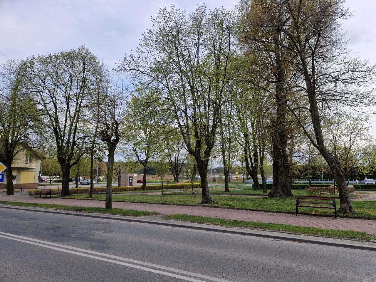 Działka inwestycyjna Głowno. Zdjęcie 4