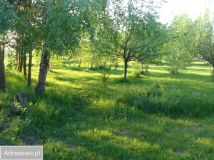 Działka rolno-budowlana Grodzisk Mazowiecki, ul. Przeskok. Zdjęcie 3