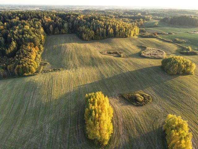 Działka siedliskowa Książnik. Zdjęcie 1