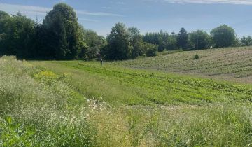 dom wolnostojący, 3 pokoje Siennów