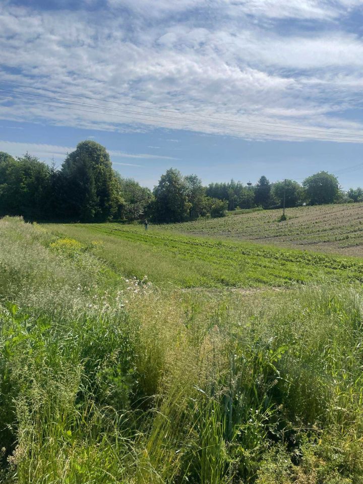 dom wolnostojący, 3 pokoje Siennów. Zdjęcie 2