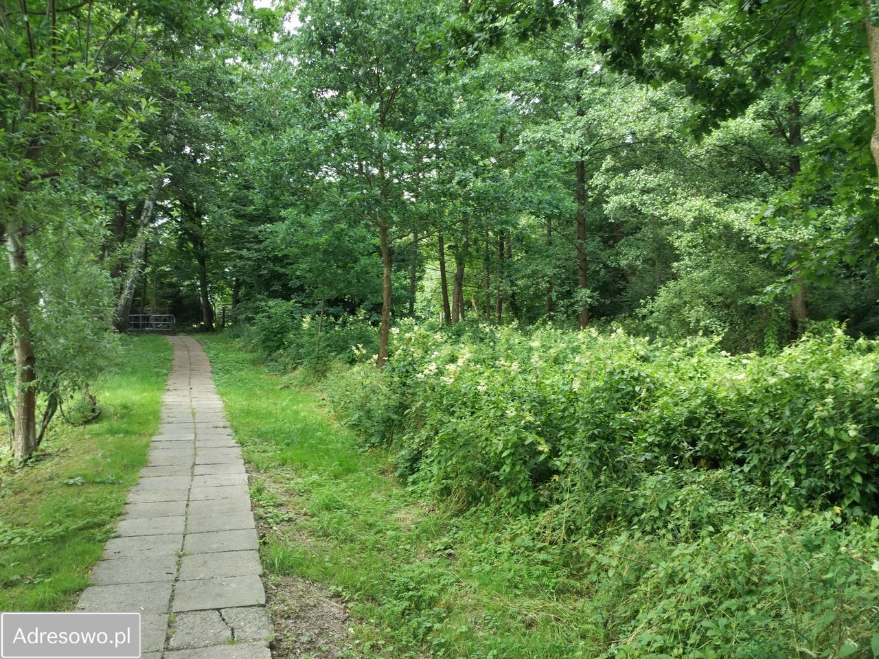 Działka budowlana Ostróda, ul. Celestyna Mrongowiusza. Zdjęcie 4