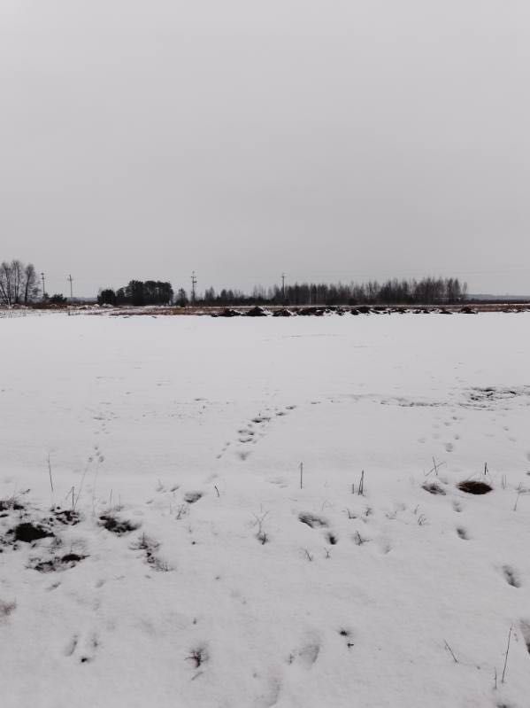 Działka budowlana Bąków. Zdjęcie 5