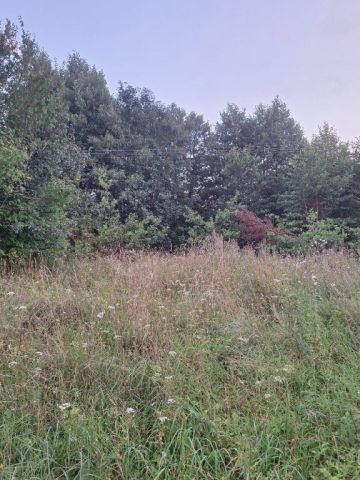 Działka Okuniowiec. Zdjęcie 1