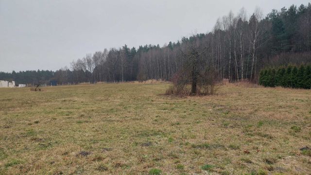 Działka budowlana Lipie. Zdjęcie 1