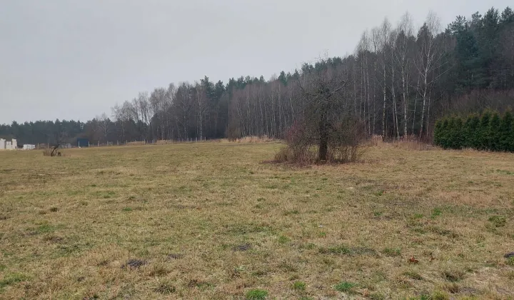 Działka budowlana Lipie