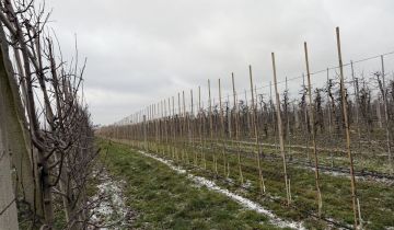 Działka rolna Grzymkowice