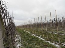 Działka rolna Grzymkowice. Zdjęcie 1