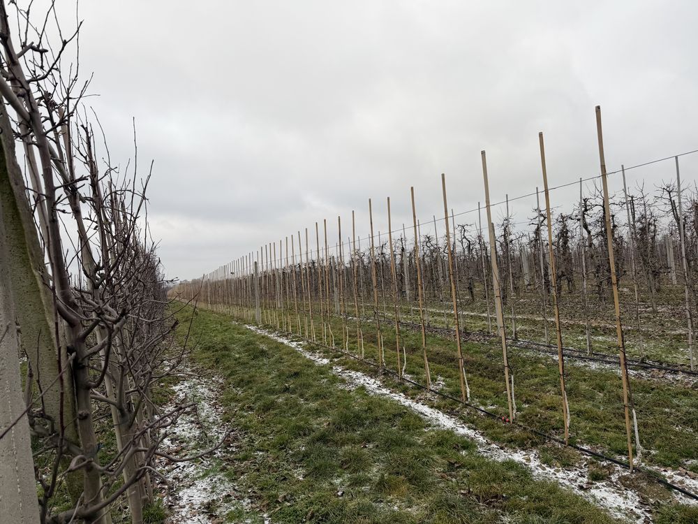 Działka rolna Grzymkowice. Zdjęcie 2