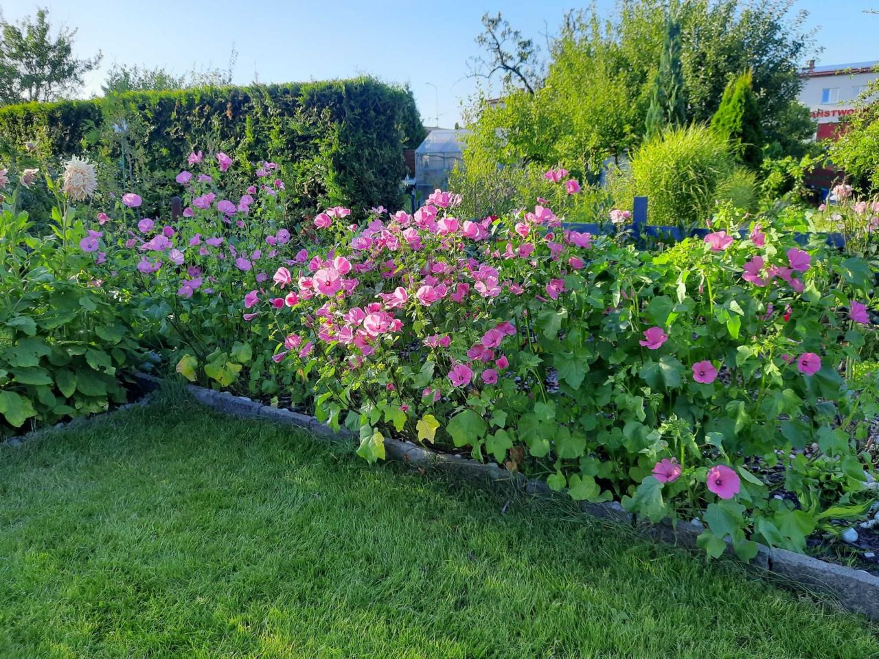 Działka rod Słupsk, ul. Towarowa. Zdjęcie 5