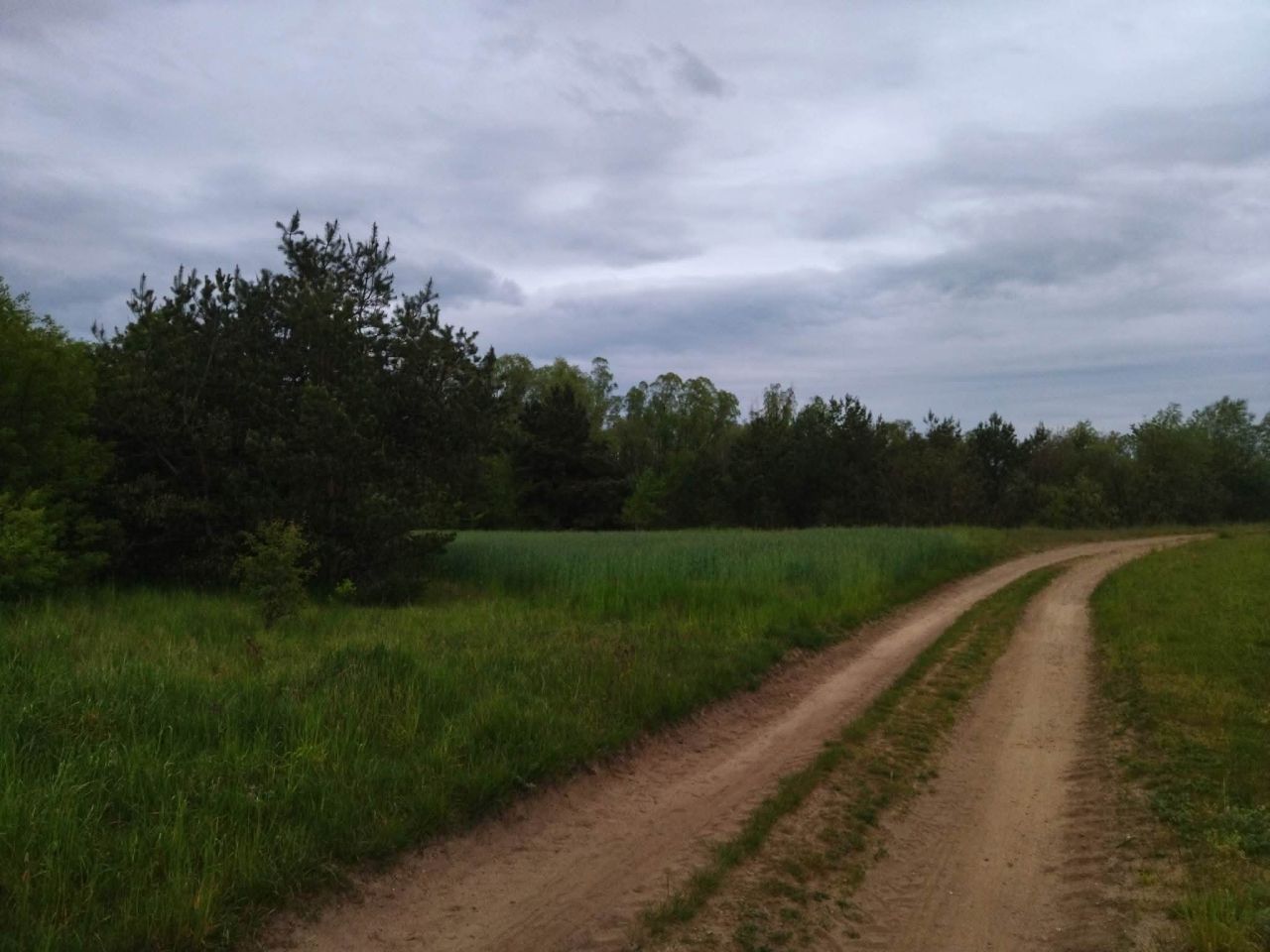 Działka budowlana Świerczyna. Zdjęcie 4