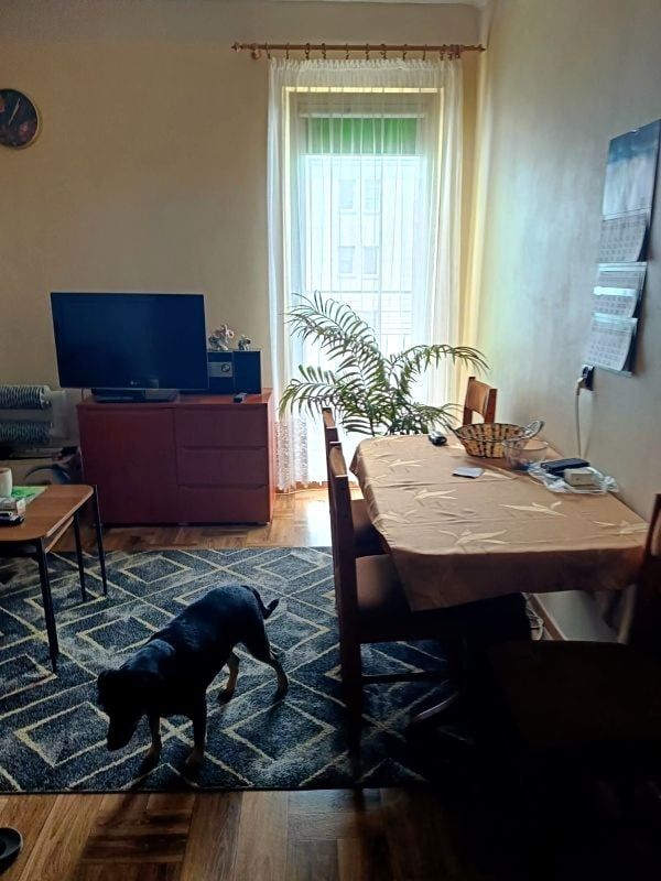 Mieszkanie 1-pokojowe Gdańsk Brzeźno, ul. Dworska. Zdjęcie 2