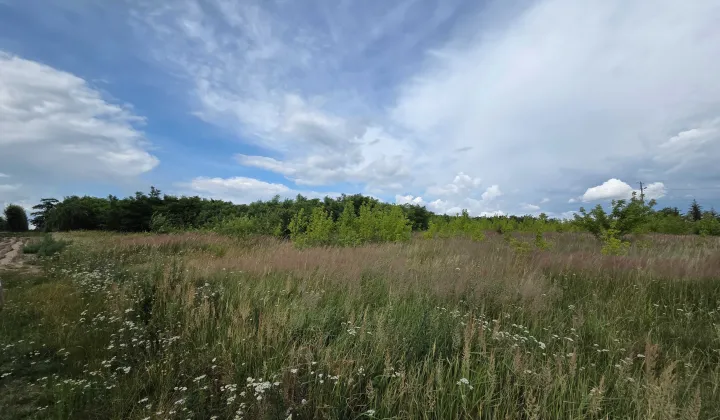Działka rolna Mała Wieś