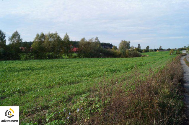 Działka rolno-budowlana Łubianka, ul. gen. Hallera. Zdjęcie 1