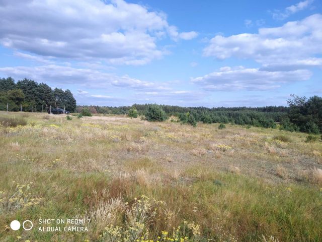 Działka budowlana Obrowo. Zdjęcie 1