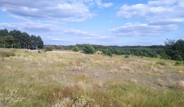 Działka budowlana Obrowo