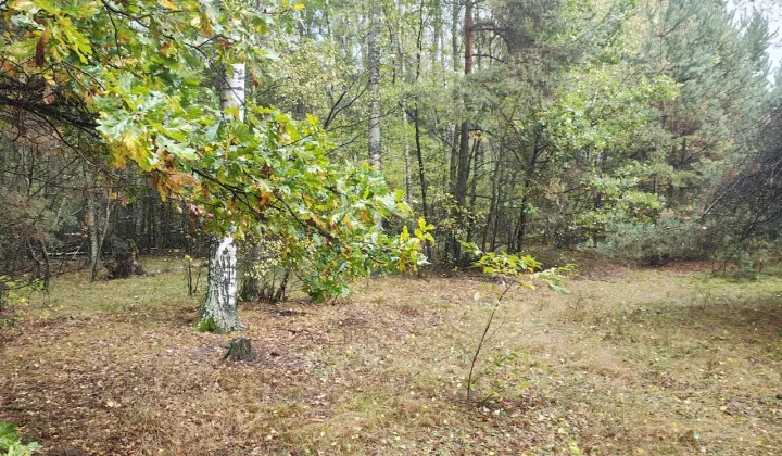 Działka budowlana Ostrowina