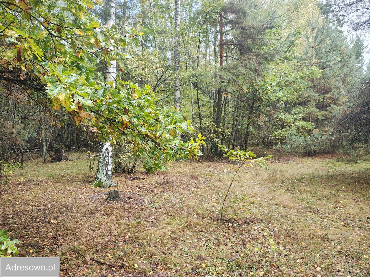 Działka budowlana Ostrowina. Zdjęcie 1