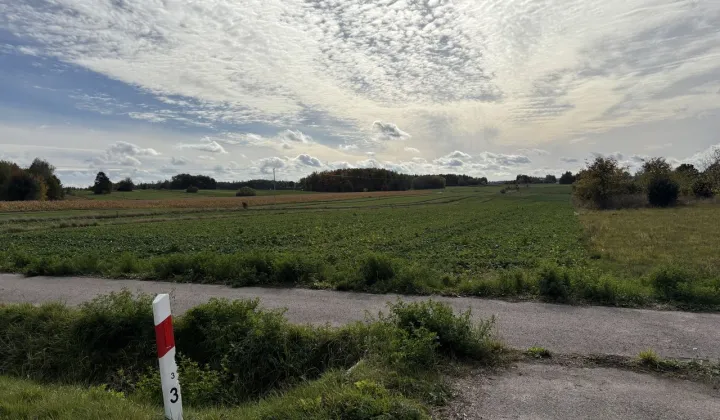 Działka budowlana Ujazd