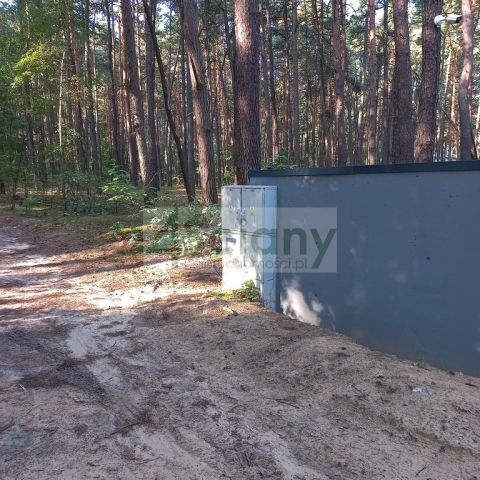 Działka leśna Sękocin-Las. Zdjęcie 9