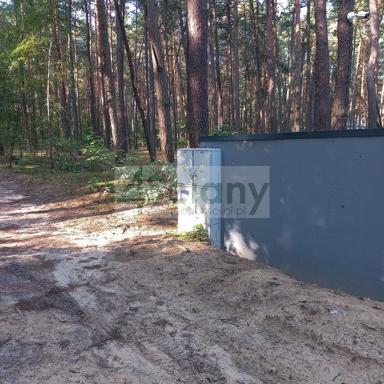 Działka leśna Sękocin-Las. Zdjęcie 9