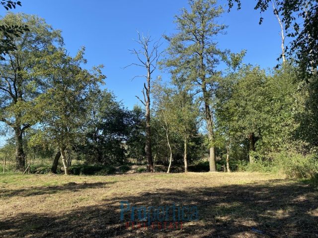 Działka Nowa Wieś, ul. Wandy. Zdjęcie 11