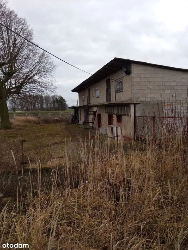 dom wolnostojący, 3 pokoje Dąbrówka. Zdjęcie 3