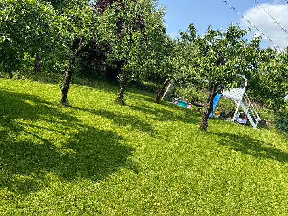 Działka rod Elbląg, ul. Wyżynna. Zdjęcie 6