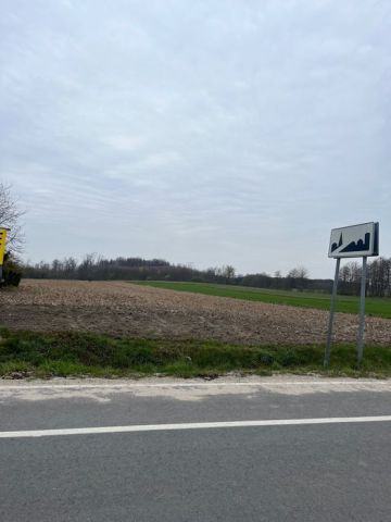 Działka budowlana Trzcinica Wołowska. Zdjęcie 1