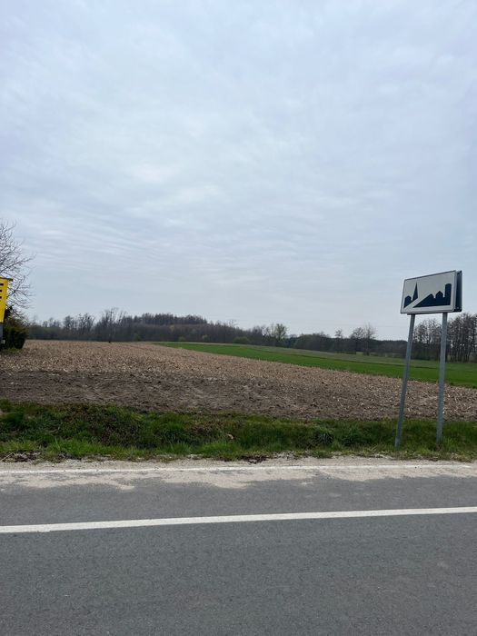 Działka budowlana Trzcinica Wołowska. Zdjęcie 1