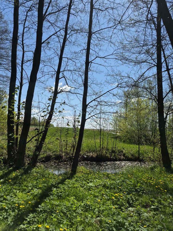 Działka rolno-budowlana Helenów, Brak. Zdjęcie 3