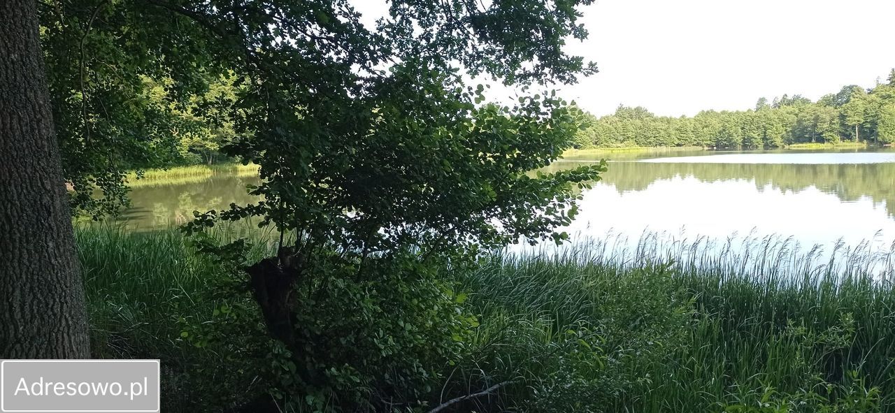 Działka budowlana Cetuń. Zdjęcie 2
