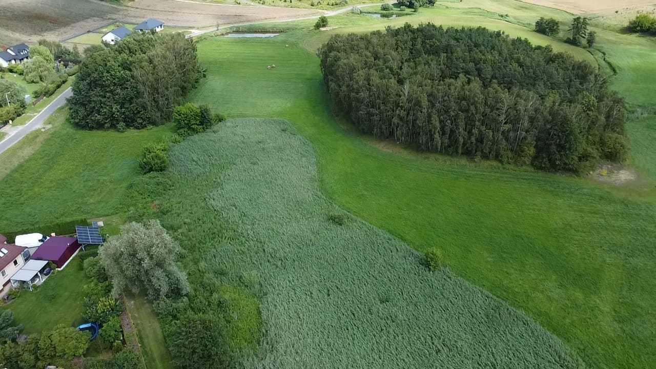 Działka rolna Stara Biała. Zdjęcie 4