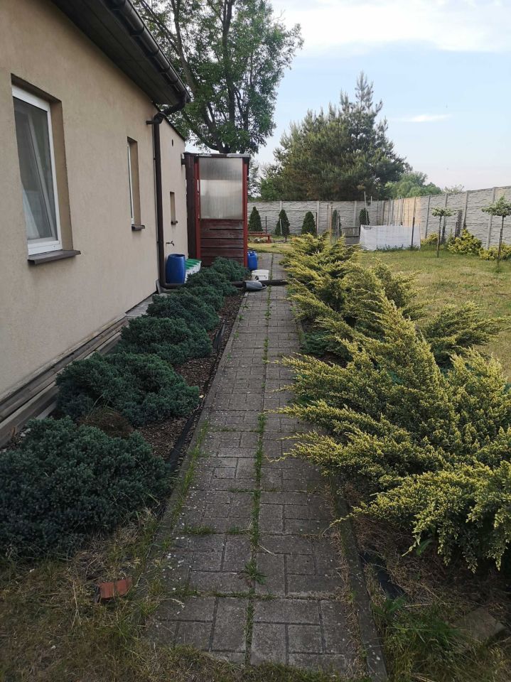 dom wolnostojący Pecna, ul. Główna. Zdjęcie 3