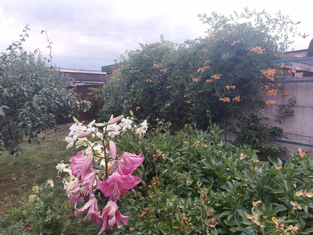 dom wolnostojący, 6 pokoi Śrem Glinki, ul. Jana Ostroroga. Zdjęcie 3