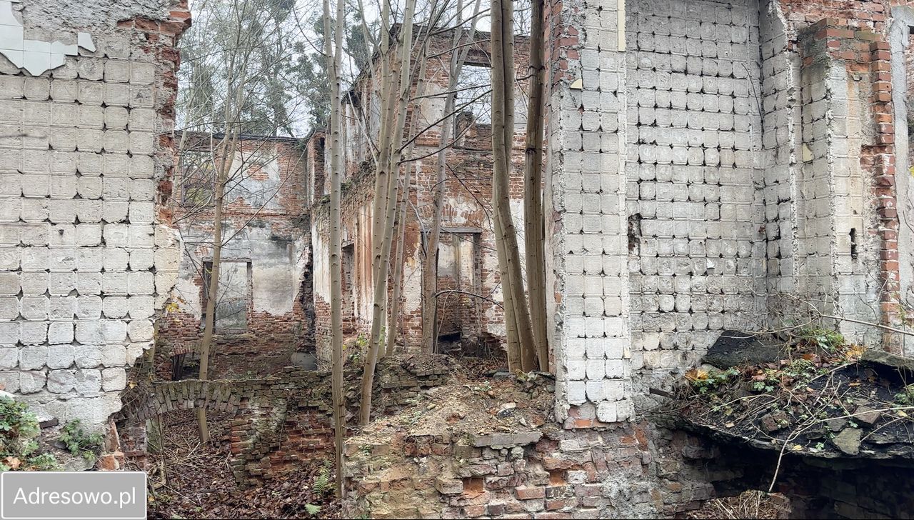 Działka inwestycyjna Ozorowice, ul. Młynarska. Zdjęcie 5