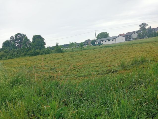 Działka budowlana Wielgie Kierków, brak. Zdjęcie 1