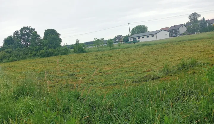 Działka budowlana Wielgie Kierków, brak