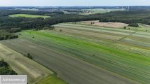 Działka rolna Kaczkowo. Zdjęcie 4