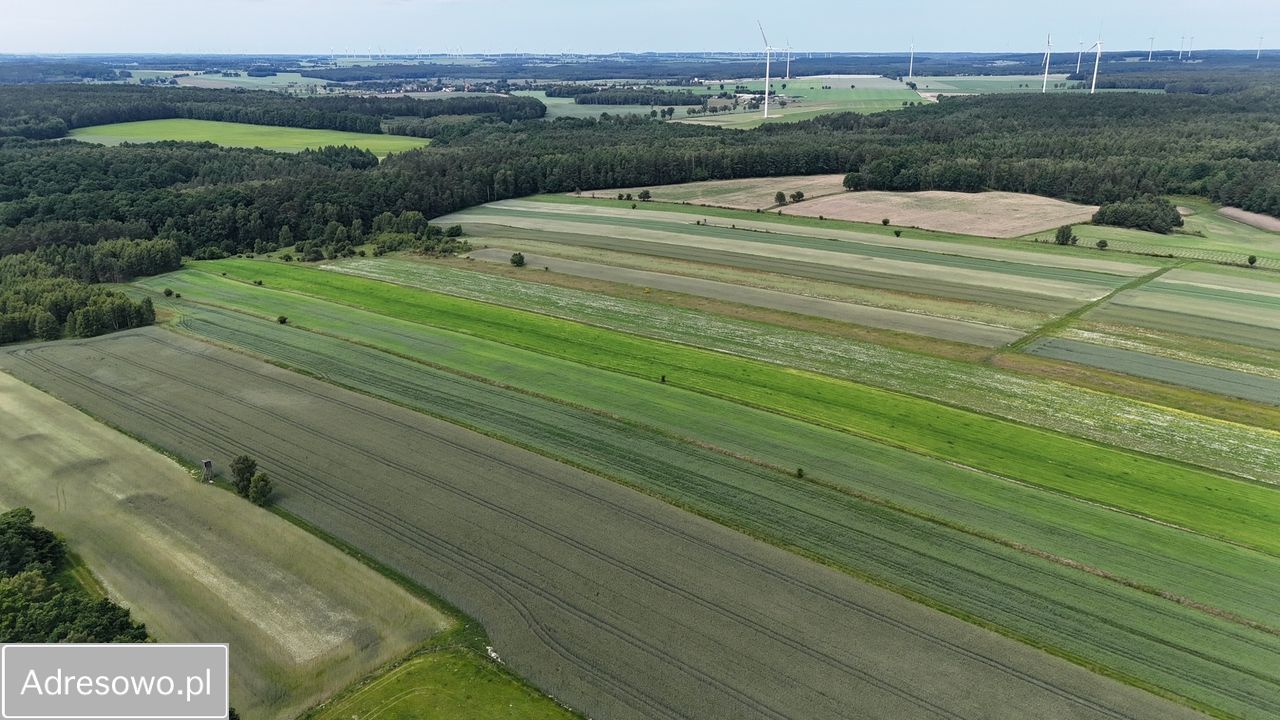 Działka rolna Kaczkowo. Zdjęcie 5