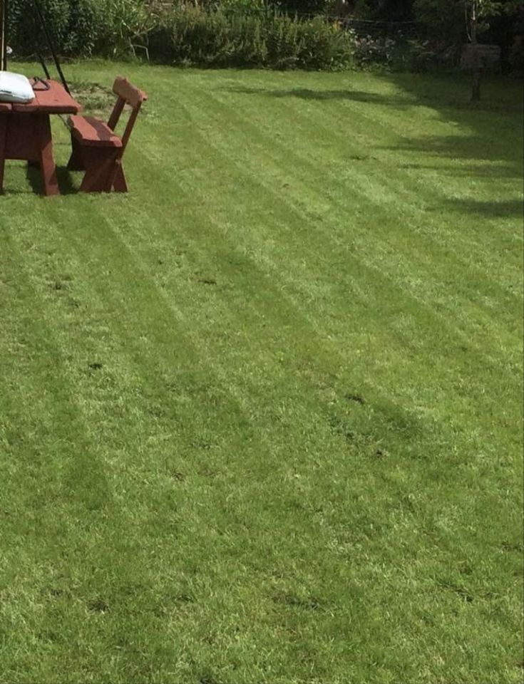 Działka rod Zimowiska. Zdjęcie 3