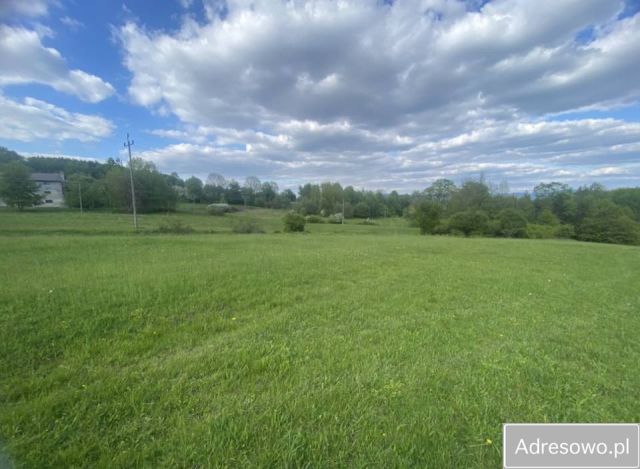 Działka budowlana Grzechynia. Zdjęcie 1